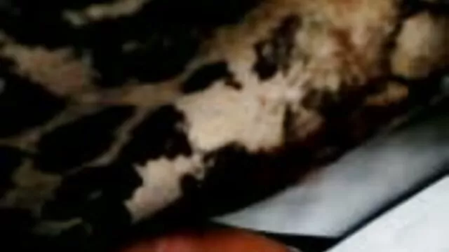 Les épouses humides aiment une bonne videos de sex en streaming fessée