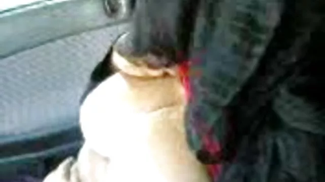 La sex french gratuit chienne aux cheveux roux perchée entre les jambes de sa copine aux gros seins lèche doucement sa chatte rasée et douce