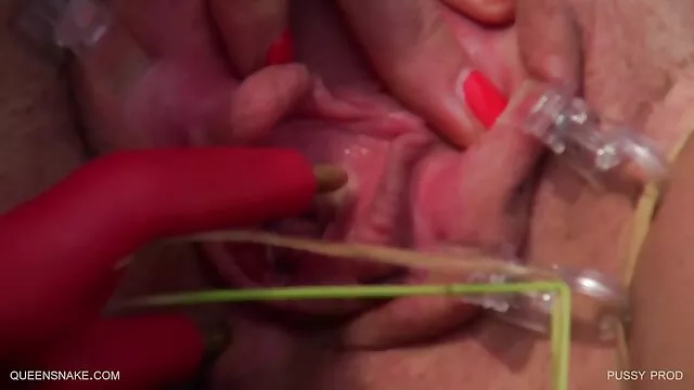 La rousse Ava Little cherchait un porno live en direct chien et a trouvé une énorme bite noire