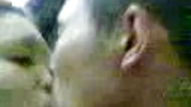 La blonde a humidifié le gode avec de la salive et l'a inséré dans sa film porno entierement gratuit chatte