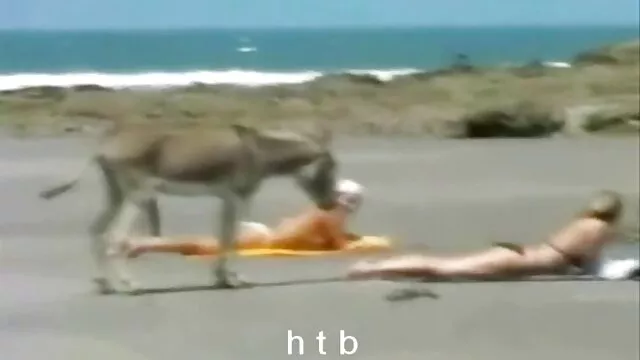 Jeune brune russe baise film sex gratuit en ligne en anal avec une grosse bite