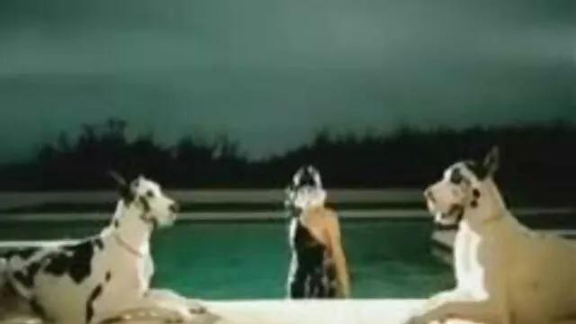 Une jeune hôtesse de l'air Natasha et son amie baisent flim de cue gratuit un mec avec des strapons épais, ça excite tellement les chiennes qu'elles lui donnent une profonde succion